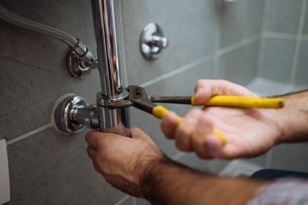 Best Clogged Drain Plumber  in Elsmere, DE